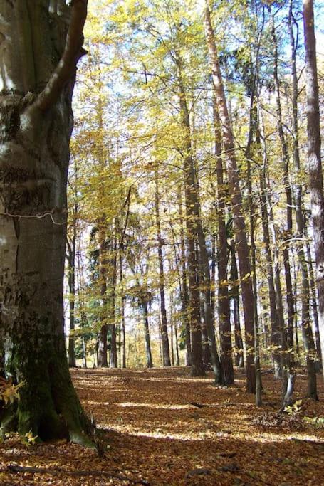 Stilvolles Landhaus Im Dreilaendereck Felsőszölnök Extérieur photo