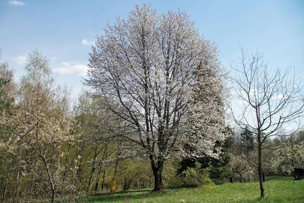 Stilvolles Landhaus Im Dreilaendereck Felsőszölnök Extérieur photo