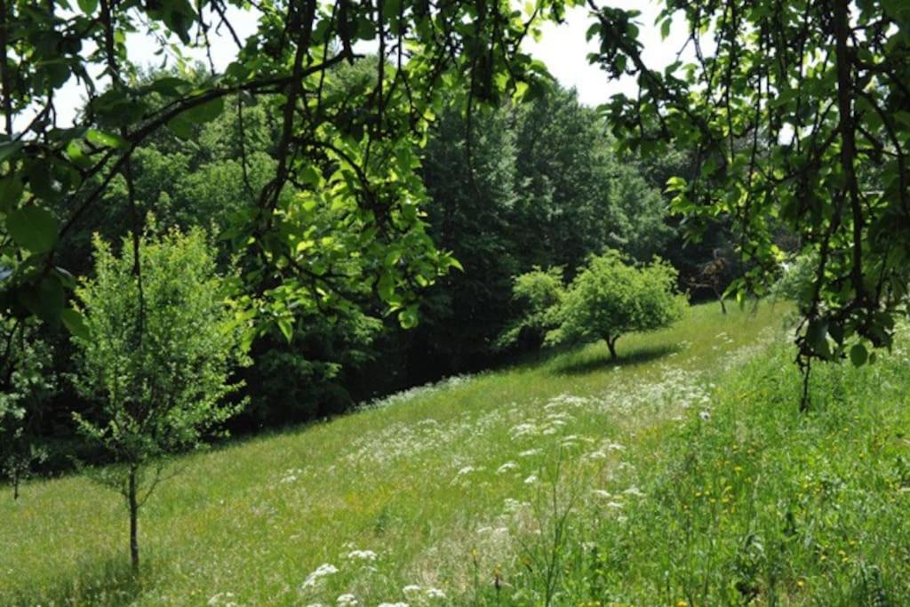 Stilvolles Landhaus Im Dreilaendereck Felsőszölnök Extérieur photo
